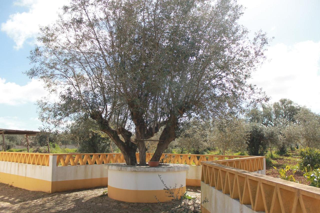 Villa Montinho Do Palanque à Viana do Alentejo Extérieur photo