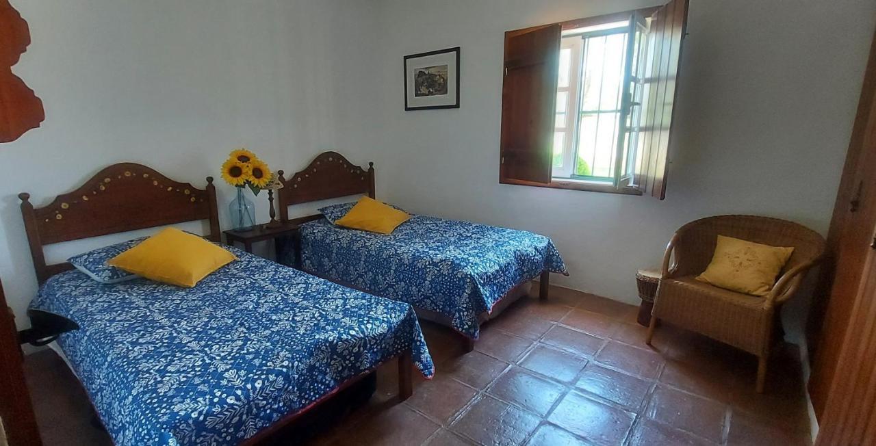 Villa Montinho Do Palanque à Viana do Alentejo Extérieur photo