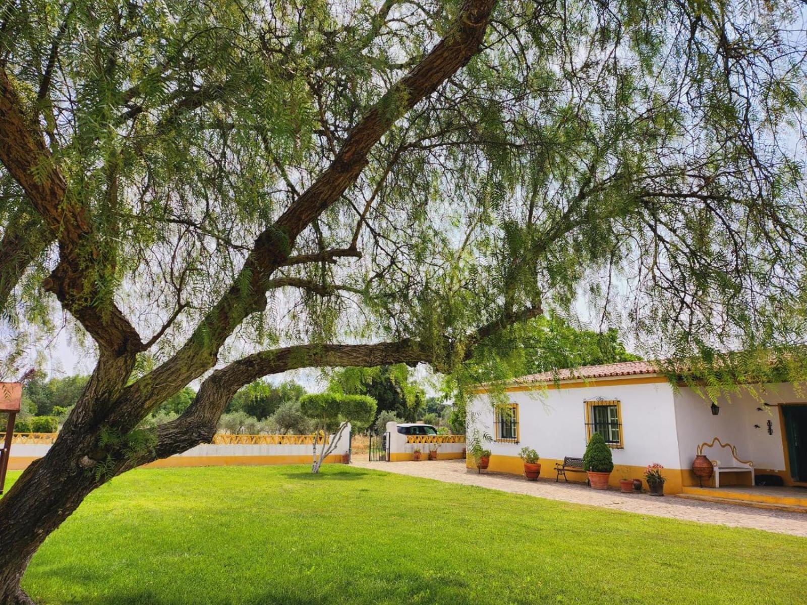 Villa Montinho Do Palanque à Viana do Alentejo Extérieur photo