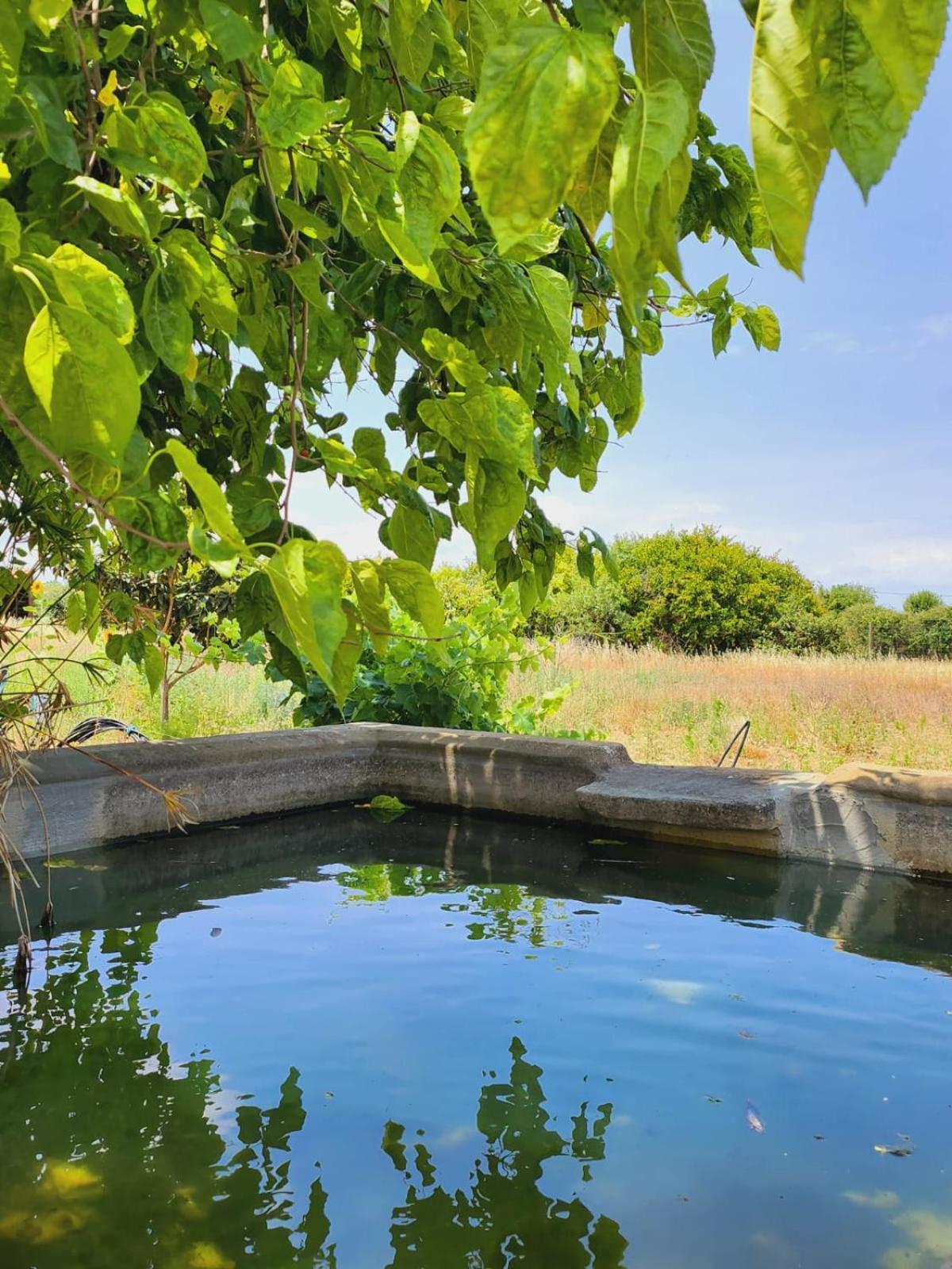 Villa Montinho Do Palanque à Viana do Alentejo Extérieur photo