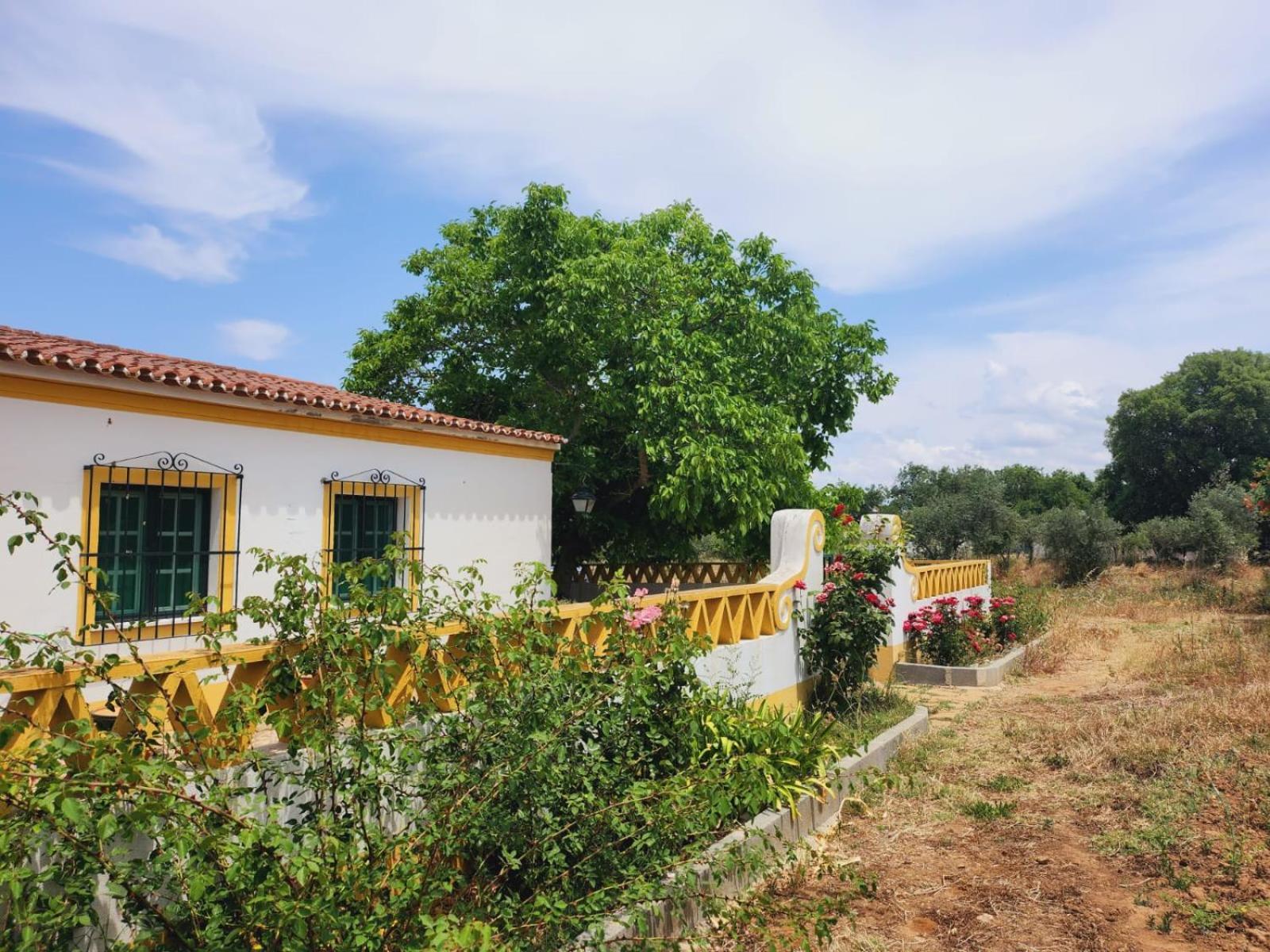 Villa Montinho Do Palanque à Viana do Alentejo Extérieur photo